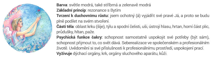 5 cakra mandala - web - k článku